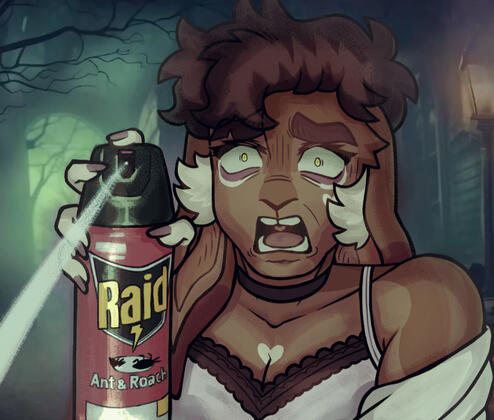 charm raid bug spray